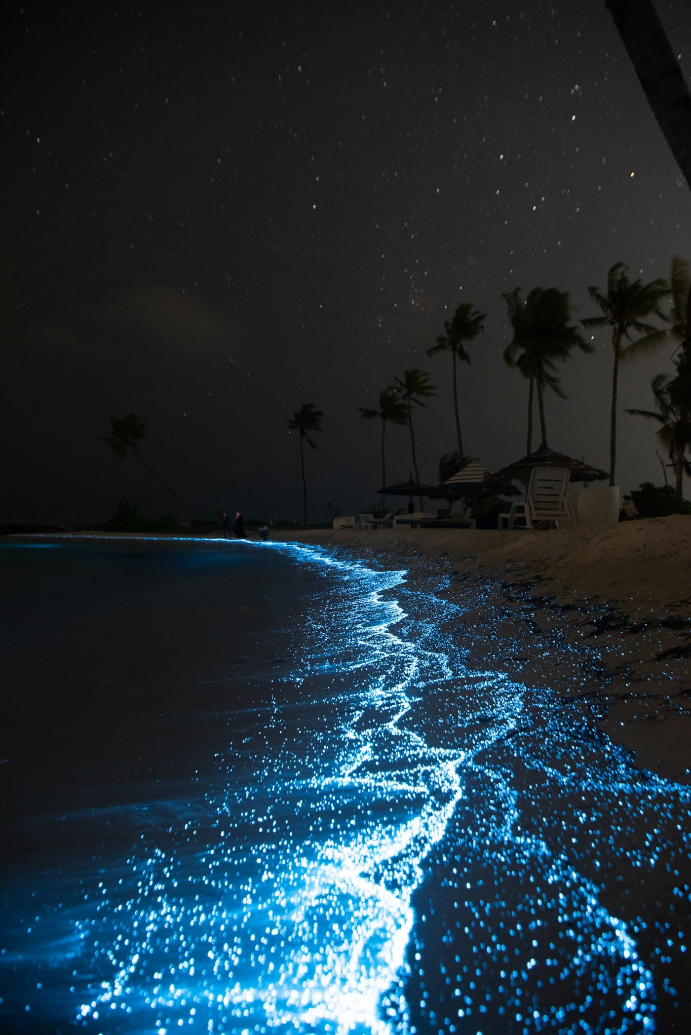 Glowing bioluminescent waves at night on a dark shoreline